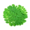 40048675_1-fresho-moringa-leaves-organically-grown