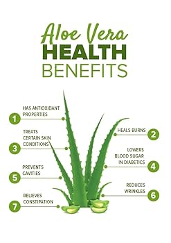 51mLpqJTf6L._UF350,350_QL80_