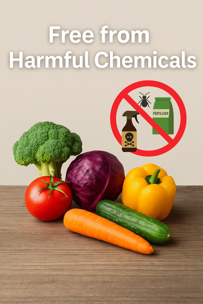 Free from Harmful Chemicals – Organic vegetables without pesticides and fertilizers
