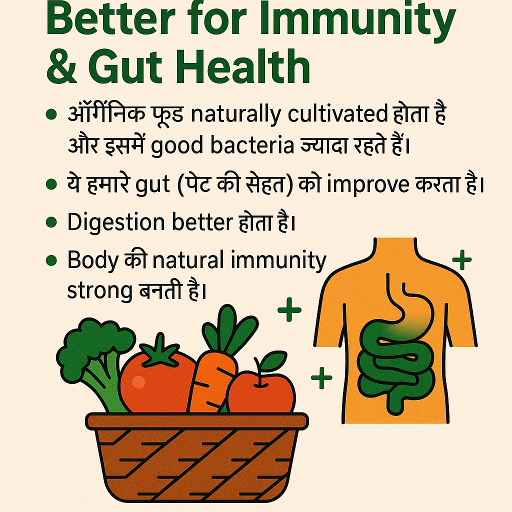 Organic food boosts immunity and gut health naturally. Infographic showing healthy vegetables, improved digestion, and strong natural immunity with organic diet.