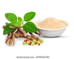 A beautiful collection of organic herbs including Tulsi, fresh Turmeric, and Amla on a wooden table, highlighting organic herbs benefits